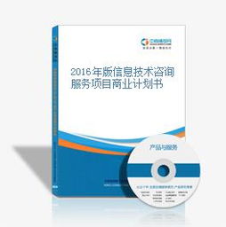 2016年版信息技术咨询服务项目商业计划书